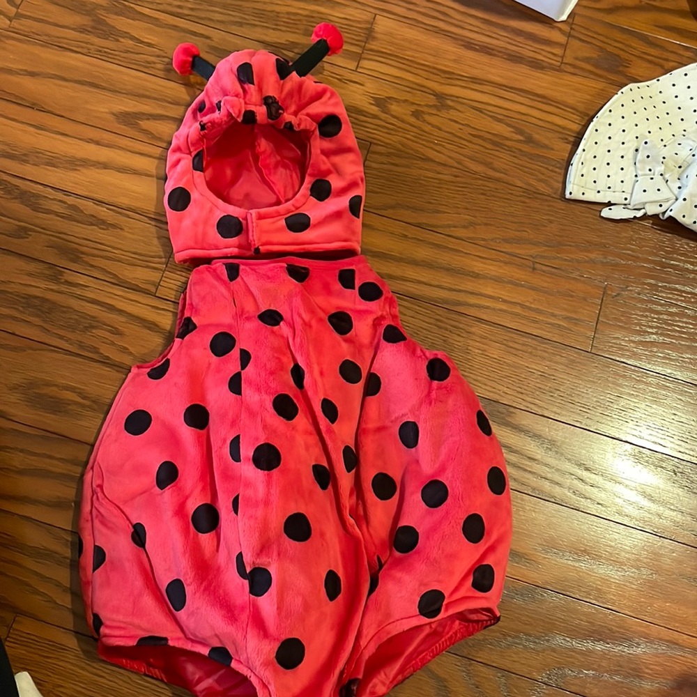 LadyBug Costume